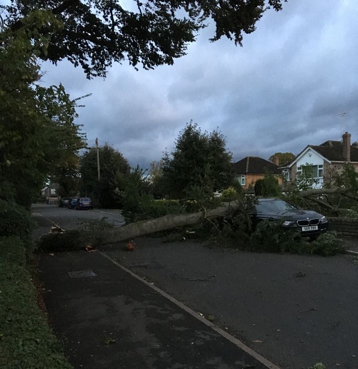 Jack Chisholm found a tree on top of a car this morning in Stamford, Lincolnshire 
