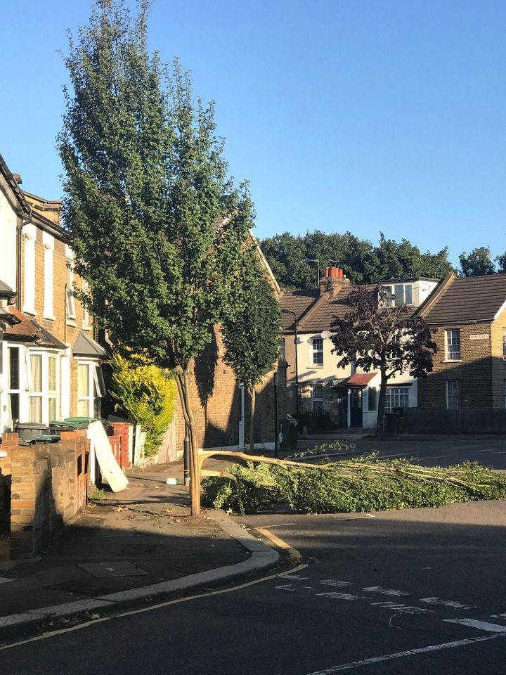 Trees had fallen in urban areas like Tottenham, north London