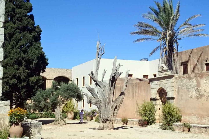 <p>The ancient cypress tree at Arkadi still holds a shell from the Turkish siege in its naked trunk. </p>