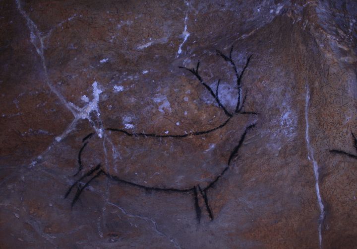  Stag in Las Chimeneas Cave, Spain