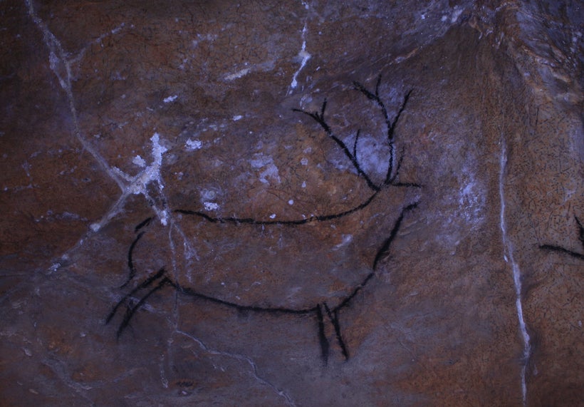 Stag in Las Chimeneas Cave, Spain