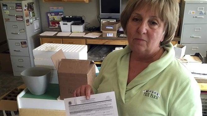 <p>Kathy LeCompte, owner of an Oregon farm, shows a form employees must fill out verifying their employment eligibility. Only nine states now require verification of the forms through E-Verify for all hires, but a national mandate could be in the works.</p>