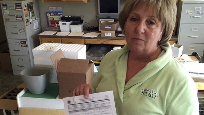 Kathy LeCompte, owner of an Oregon farm, shows a form employees must fill out verifying their employment eligibility. Only nine states now require verification of the forms through E-Verify for all hires, but a national mandate could be in the works.