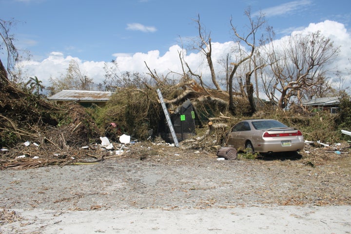 Fallen trees in Goodland, Florida, after Hurricane Irma.