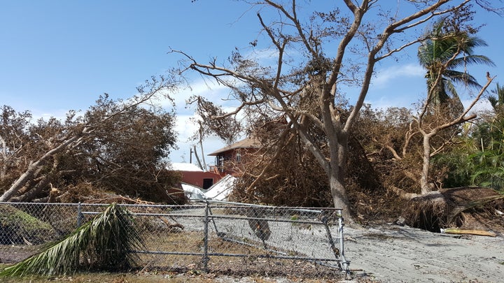 Renee Nadolink's home post-Irma.