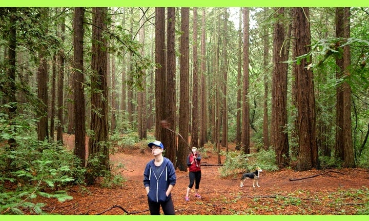  Nicole Opper & Kristan Cassady of The F Word with their dog, Rocky. 