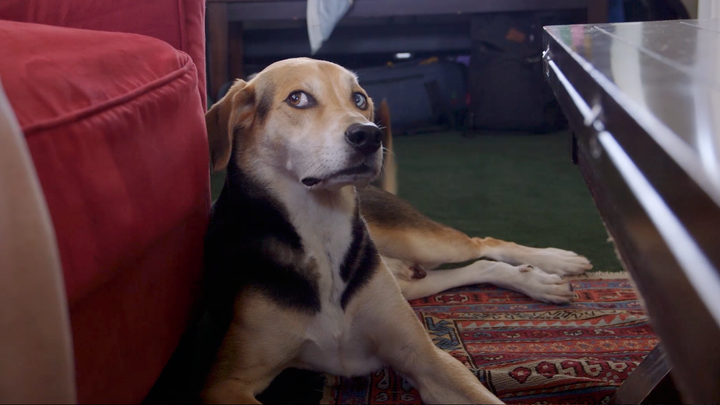 Rocky reacting to conversation about family building.