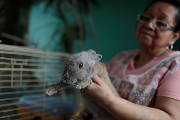 Maria Galindo carries her pet rabbit Lola at her home in Caracas, Venezuela.