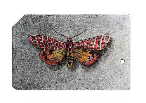 <em>Artist: R J Gualberto</em>