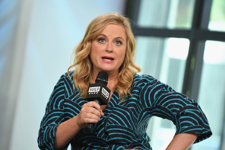 Amy Poehler has two sons.