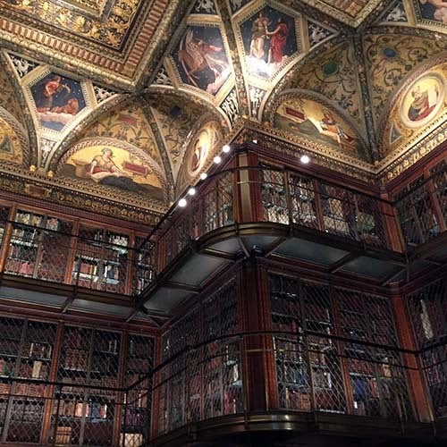 <em>The library (Abu-Fadil)</em>