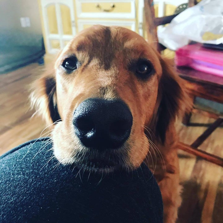 <p>Who could resist that face?</p>