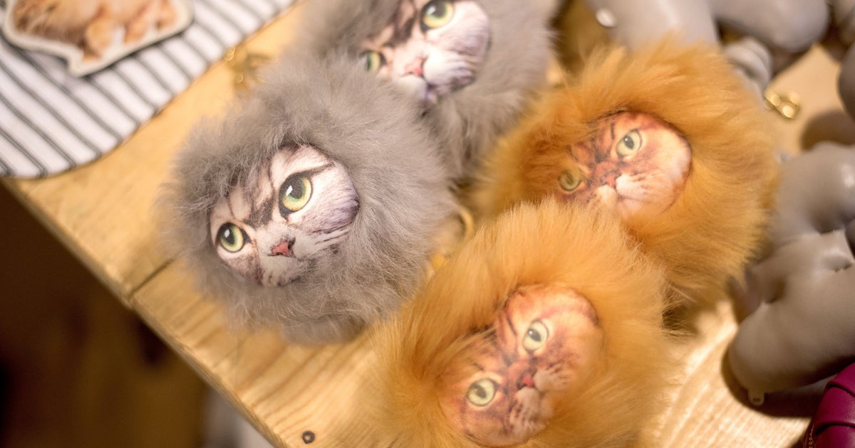 London Fashion Week 2017 Anya Hindmarch's Kitty Handbags Make It Cool To Be A Cat Lady