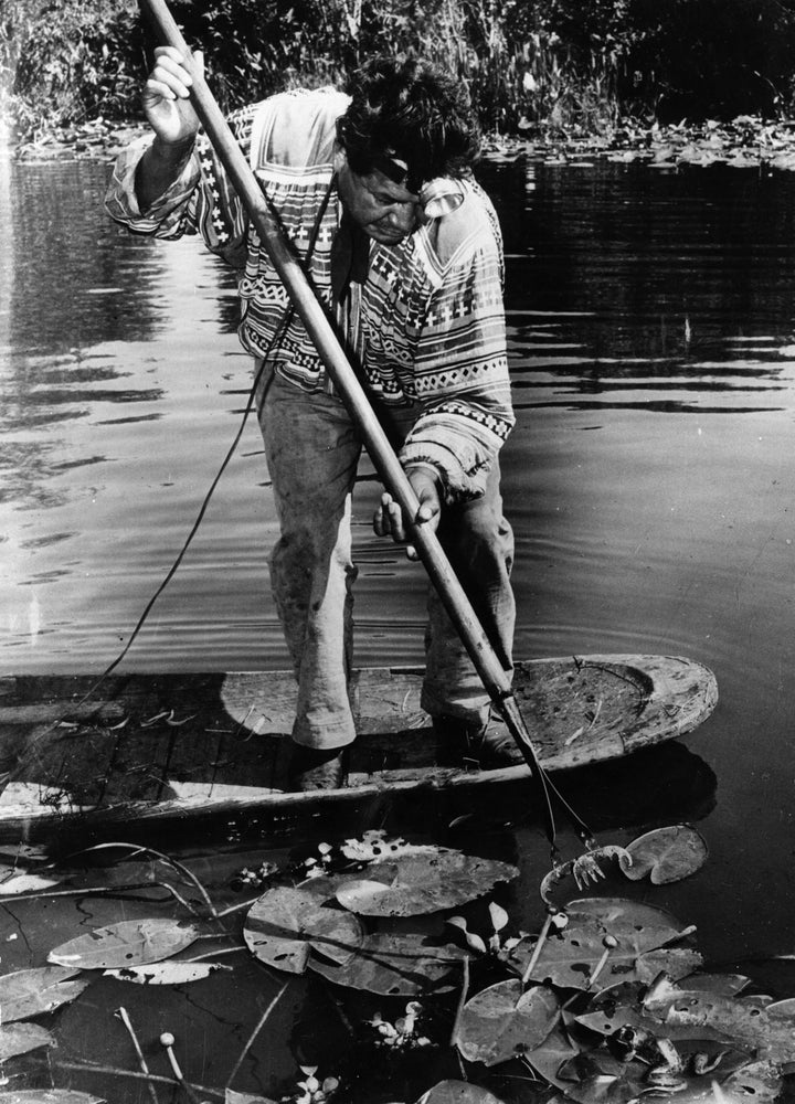 Native American Seminole chief Willie Osoeola balances on a dugout canoe in the 1940s while hunting frogs that he'd sell to hotels and restaurants.