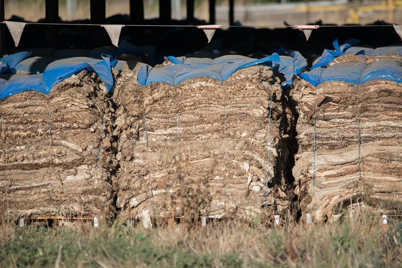 Hundreds of stacked sheep skins. Australia, 2017. <a rel="nofollow" href="http://www.weanimals.org/" target="_blank">Jo-Anne
