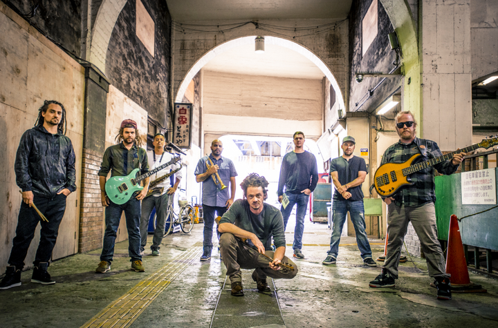 <p>SOJA</p>
