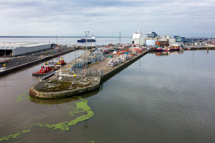 King George Dock in the Port of Hull (file picture)