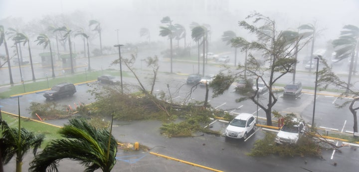 Trees are toppled in a parking lot at Roberto Clemente Coliseum in San Juan, Puerto Rico, on September 20, 2017, during the passage of the Hurricane Maria. 