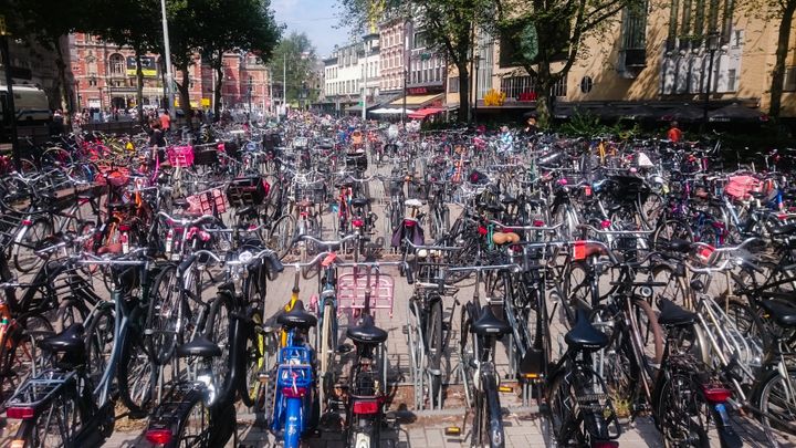 <p>Typical bike parking lot, Amsterdam</p>