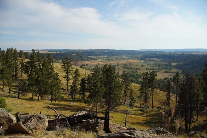 <p>The sweeping valley below the Tower was breathtaking. </p>