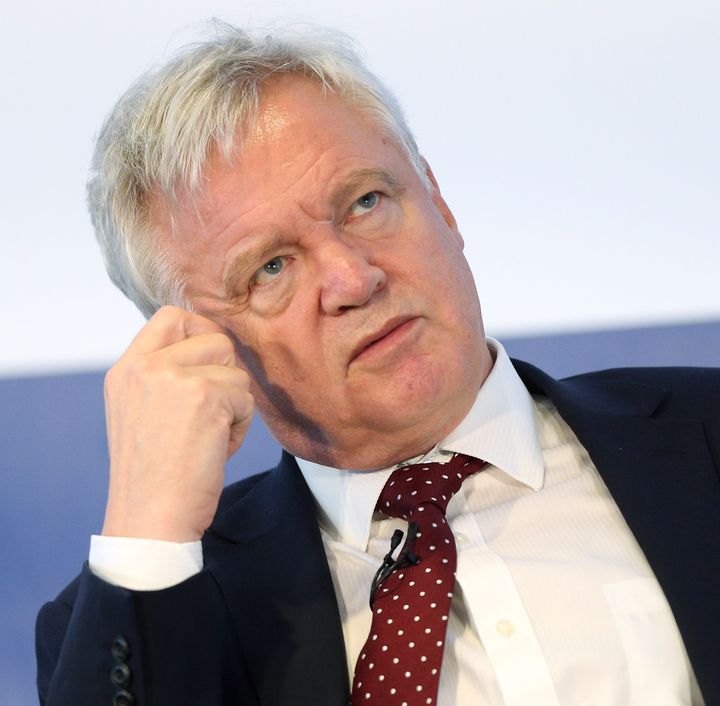 Brexit Secretary David Davis may not be keen on the suggestions for a Brexit hit squad