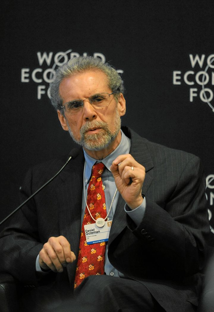 Daniel Goleman at the 2011 World Economic Forum