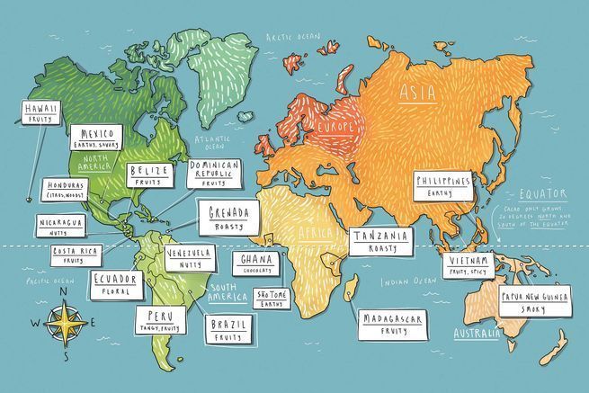 <p>Where chocolate comes from</p>