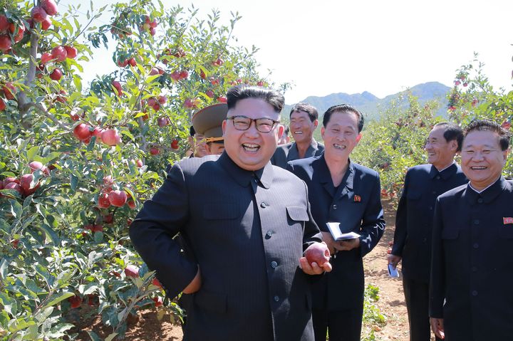Kim Jong-Un in an orchard this week.