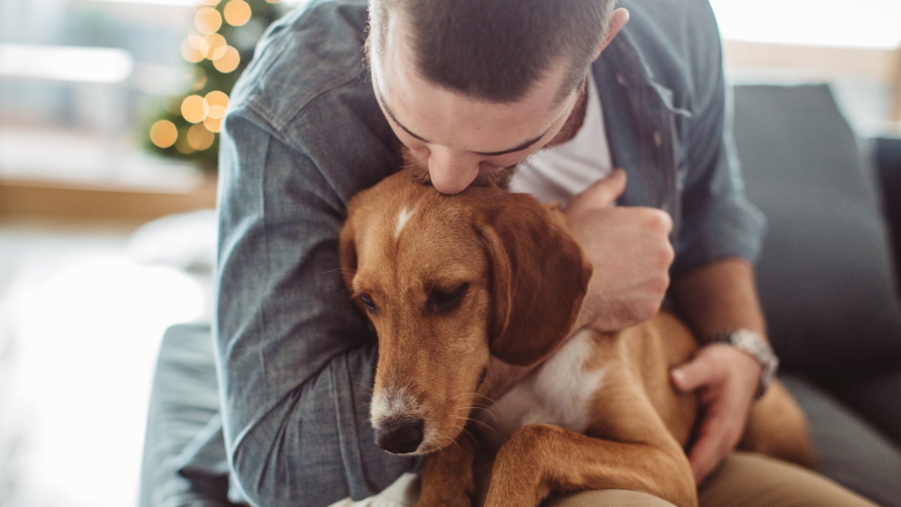 When your Pet is Sick – MD Harris Institute