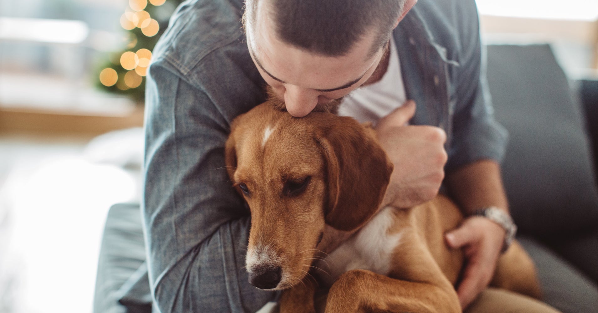 Your Mental Health Suffers When Your Pet Gets Sick HuffPost