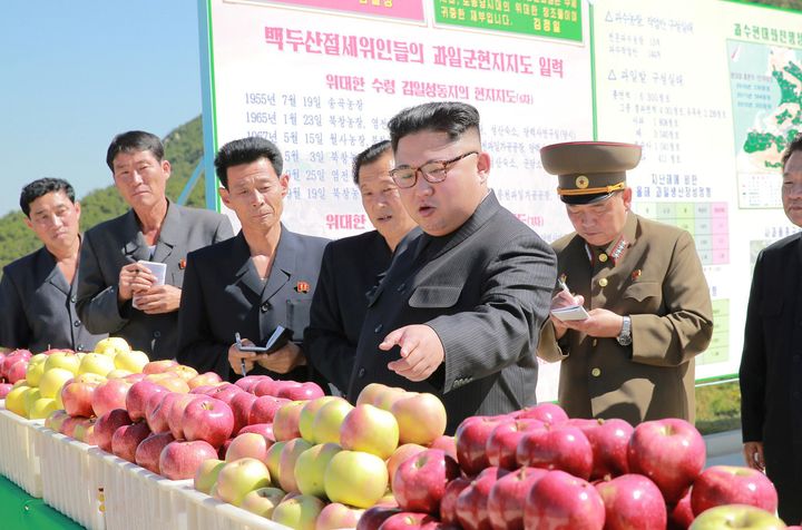 North Korea's Kim Jong-Un pointing at some apples earlier this week.