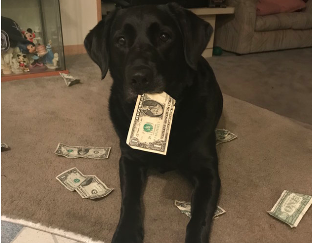 Holly even has a couple of "piggy banks" at home.