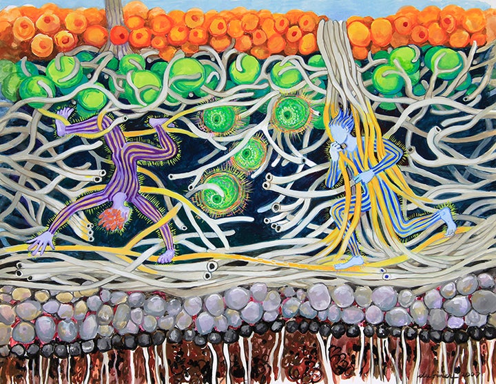 <p>LICHEN PLAYGROUND</p>