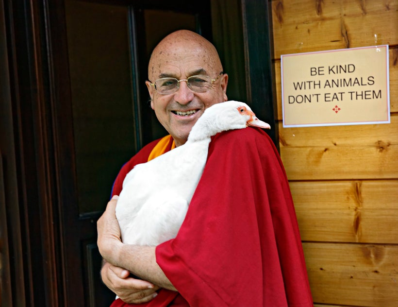 are-buddhists-vegetarians-huffpost