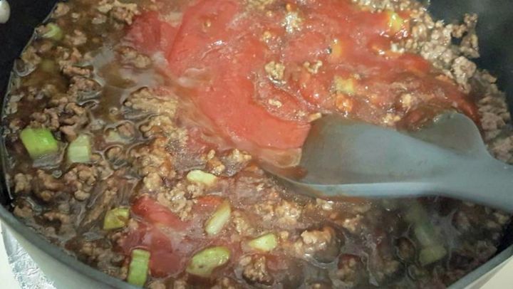 <p>Ground Beef with Celery, Onions and Tomato Sauce</p>