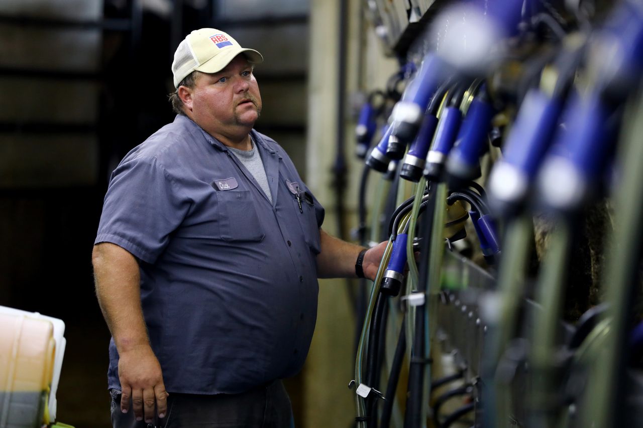 Chuck Ripp troubleshoots a machine in the milking parlor at his farm, Ripp's Dairy Valley, in Dane, Wisconsin, Sept. 12, 2017. He says he works long hours at the farm, which he co-owns with his brothers Gary and Troy. The dairy relies heavily on Latino workers.