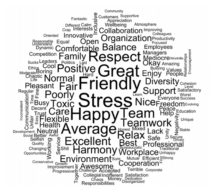 Words employees use to describe their current organization’s workplace culture. With stress being the most commonly used word.