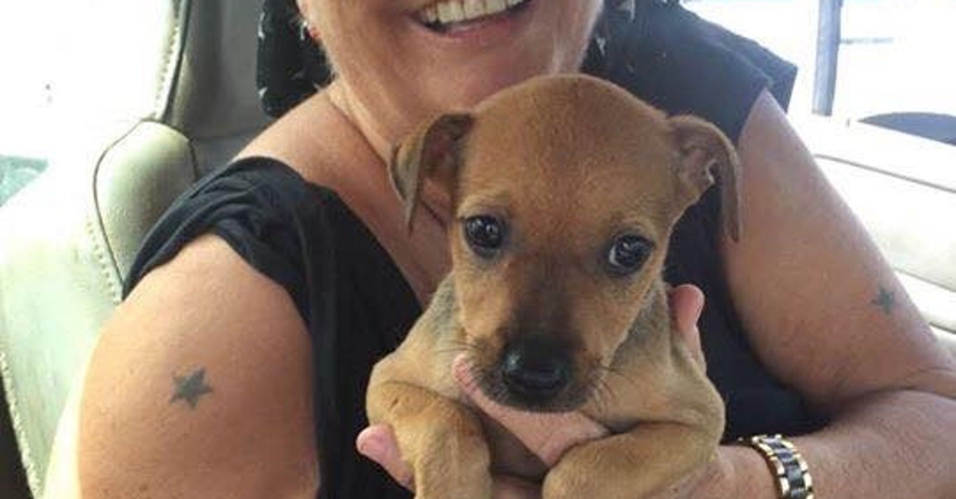 I Love My Island Dog in St. Martin Urgently Needs Our Help HuffPost