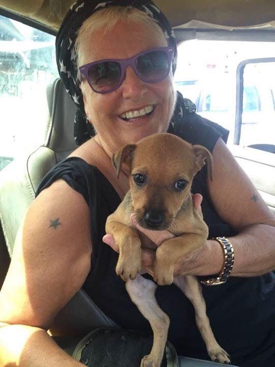 Ursula Oppikofer of I Love My Island Dog in St. Martin