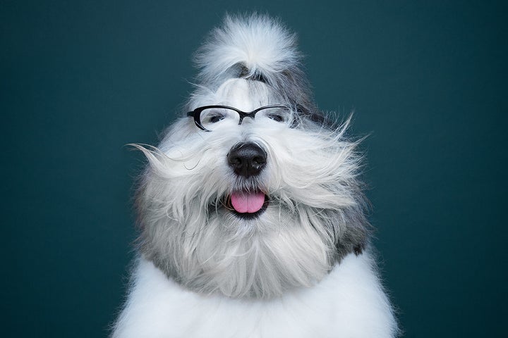 Hipster Santa vibes.