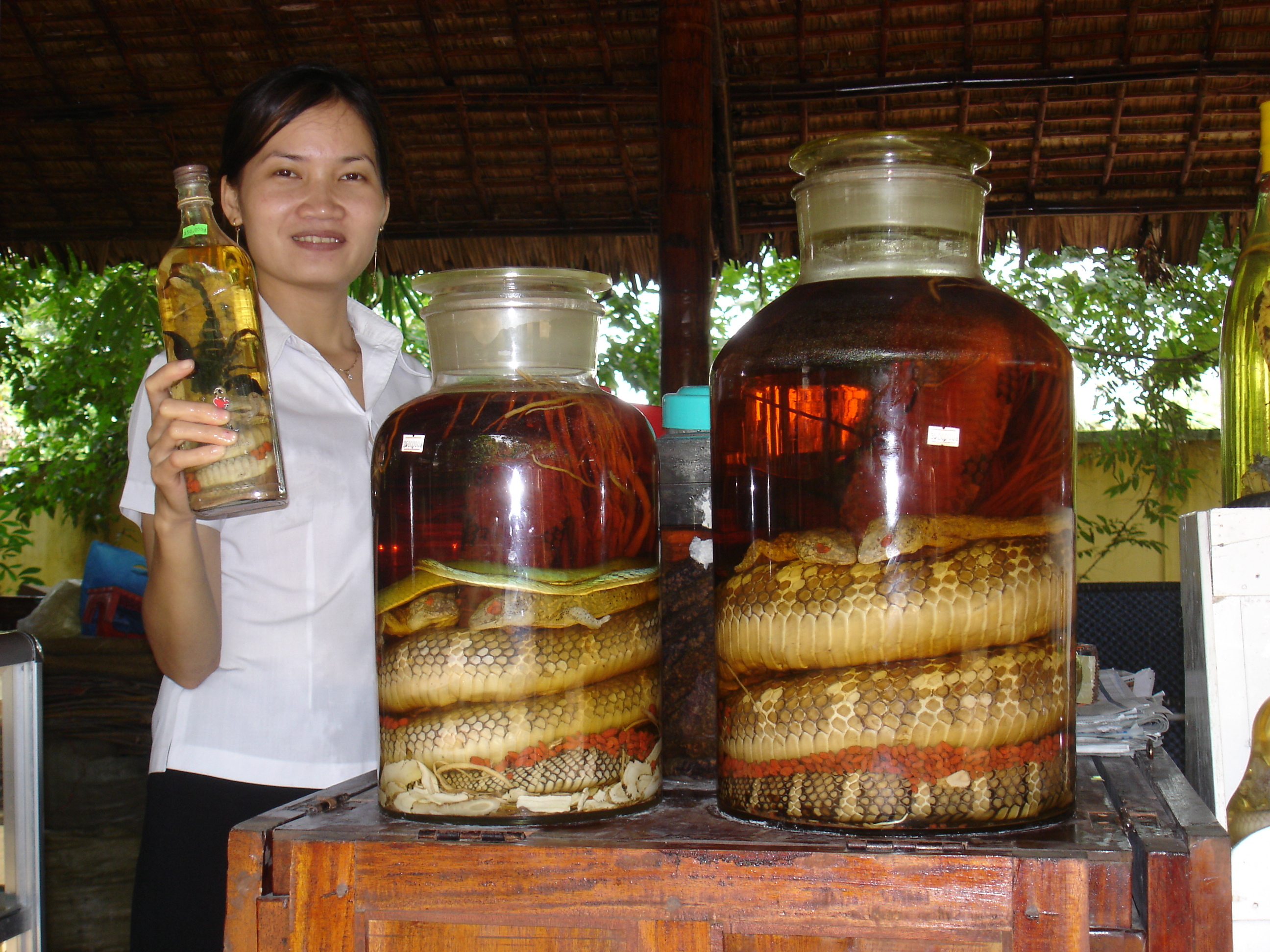 Вьетнамская змеиная водка