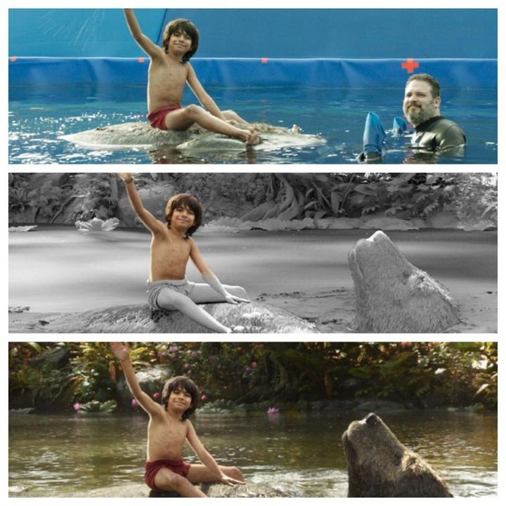 Technicolor and Disney collaborated to bring the jungle and its musical denizens to life in "The Jungle Book". The film won the Academy Award for Visual Effects.