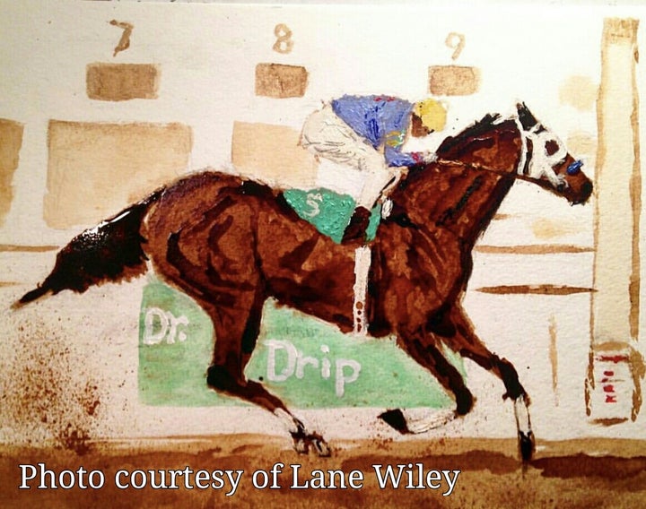 <p>Multi Stakes Winner Dr. Drip</p>