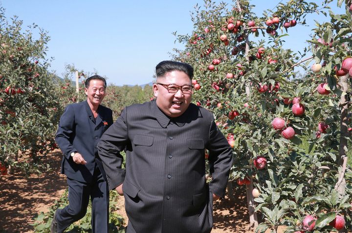 Kim Jong Un visits a fruit orchard in Kwail county, South Hwanghae earlier this month.