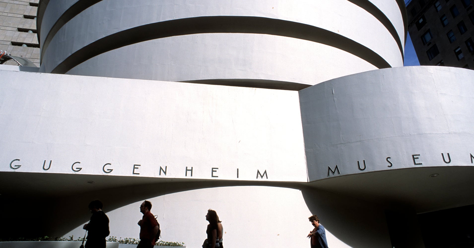 Theaters Museums Increasingly Catering >> Guggenheim Museum Pulls Controversial Animal Related Art After Theaters Museums Increasingly Catering >> Guggenheim Museum Pulls Controversial Animal Related Art After