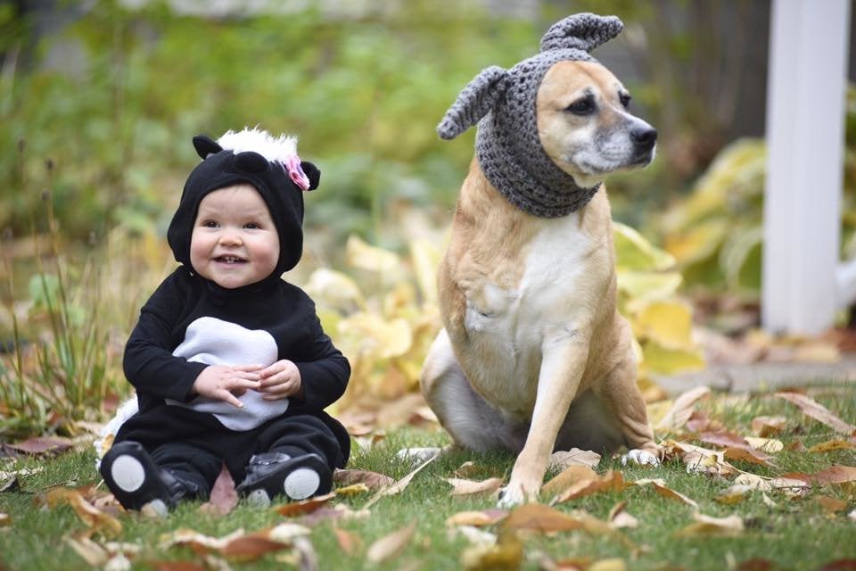 23 Dog And Kid Halloween Costumes That Will Make You Squeal