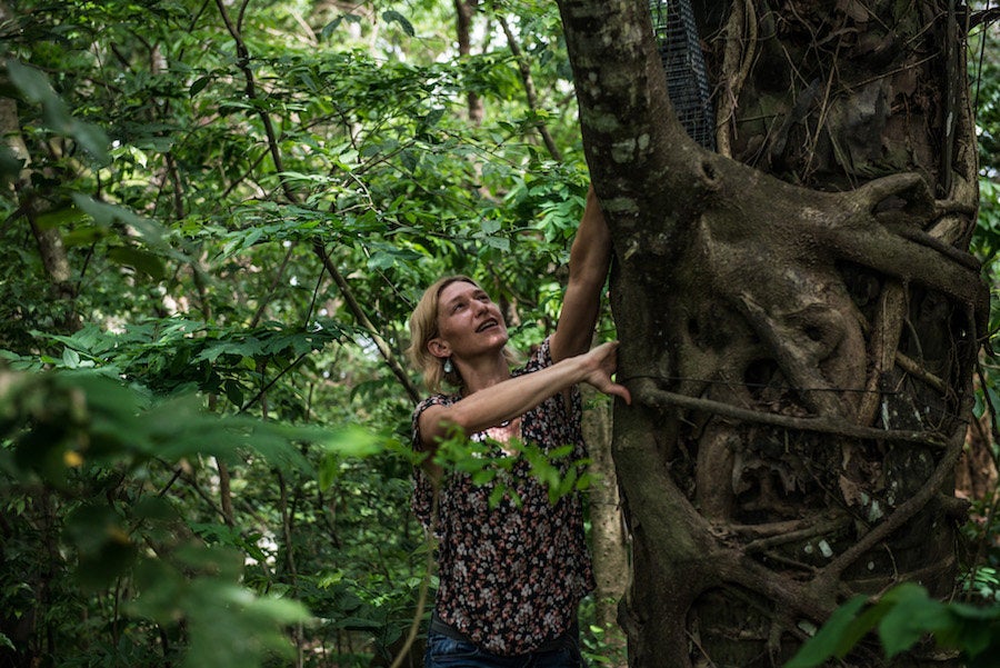 Laudisoit demonstrates how cages are set to trap animals for tagging and tracking as she and her team research the spread of monkeypox through rural communities across Congo.