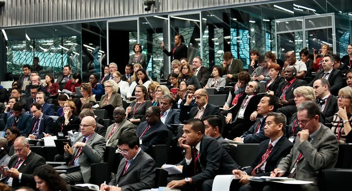 Participants at the Global Rabies Conference in Geneva, December 2015 