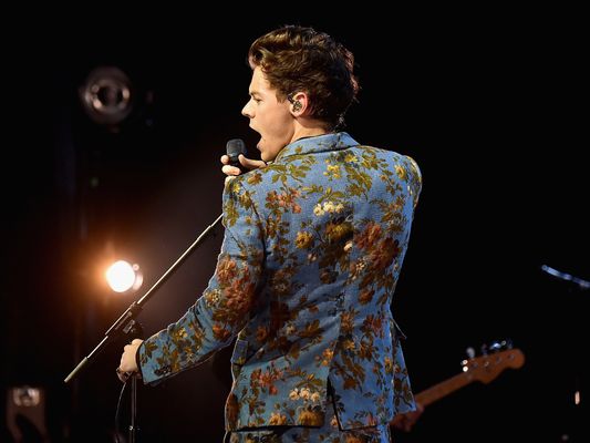 Harry Styles mocks conservative trolls who took issue with his Vogue cover  in best possible way