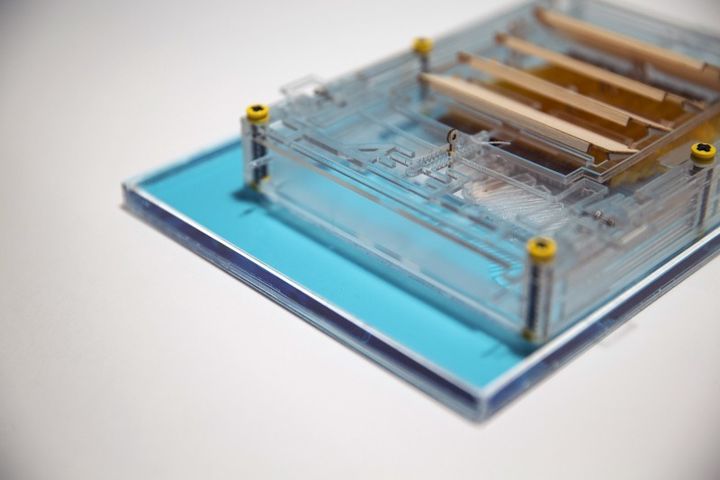 The evaporation engine sits on a shallow pool of blue water. When water on the surface below evaporates, it drives the flaps to move back and forth. When connected to a generator, that motion produces electricity.